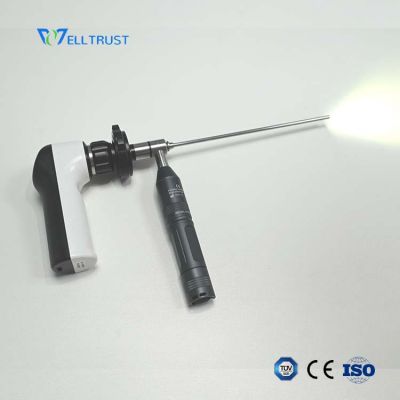 Veterinary Endoscopic Imaging